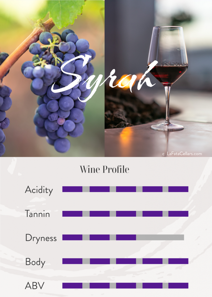 syrah wine profile