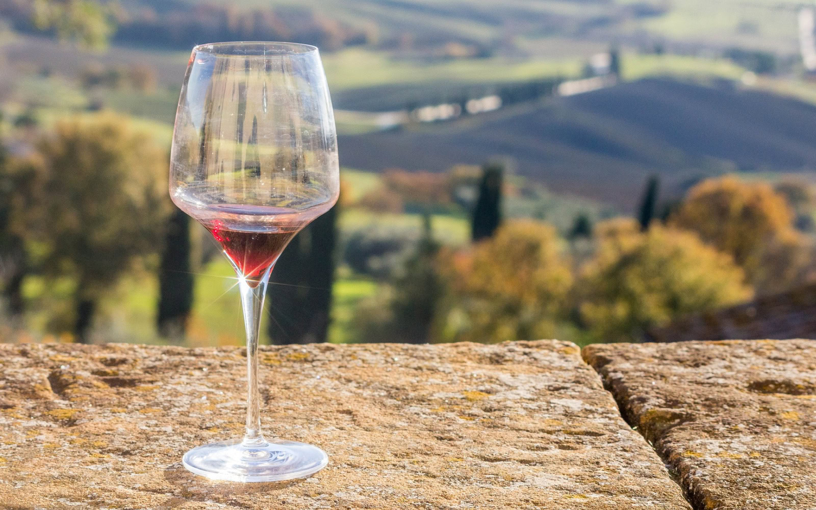 Italy's 7 Best Italian Wine Types Revealed