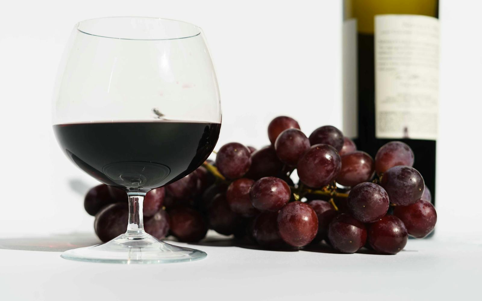 Grenache or Syrah Wine: Differences and Comparison