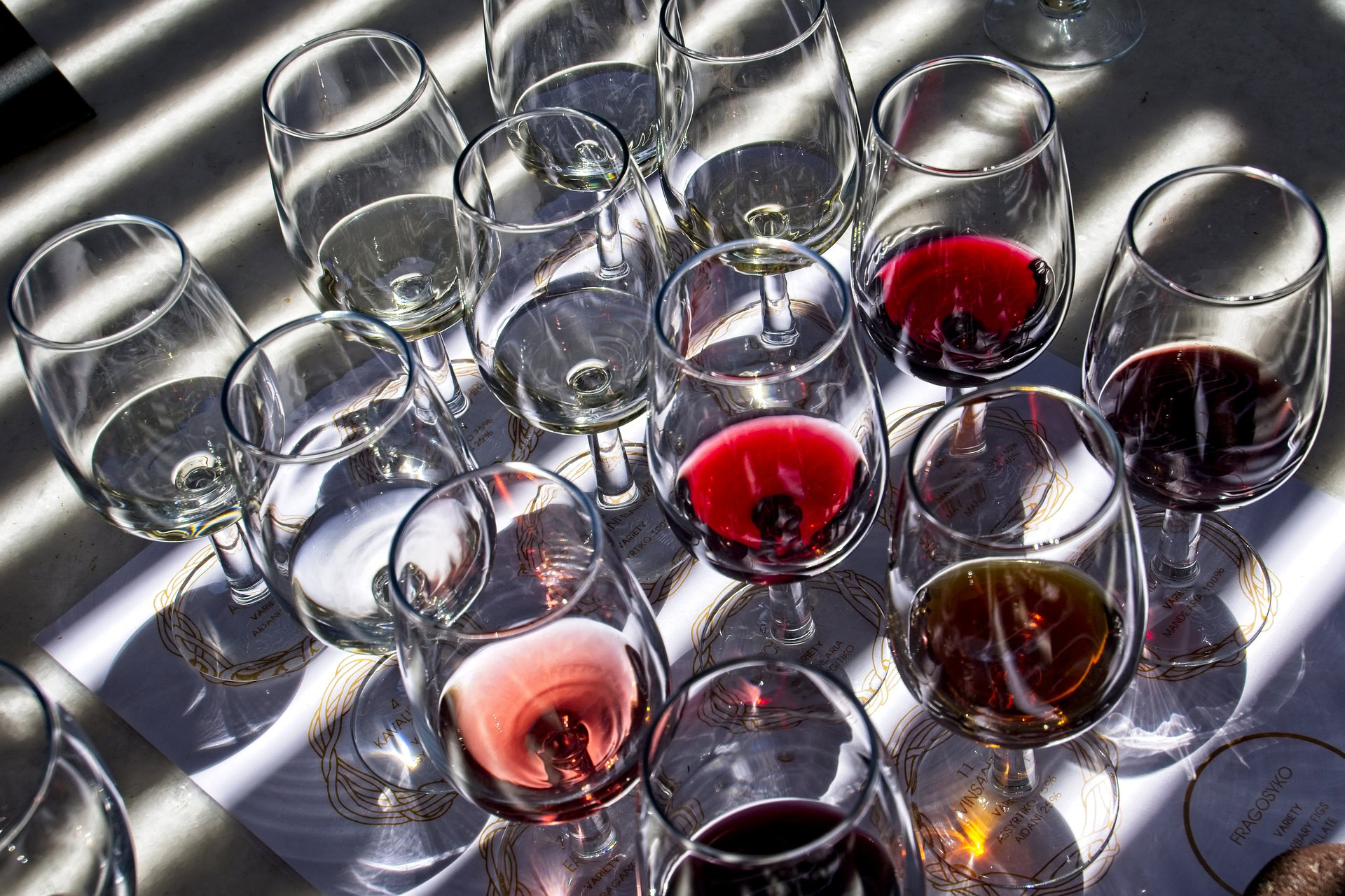Proper Wine Tasting Order and Most Common Tasting Varietals