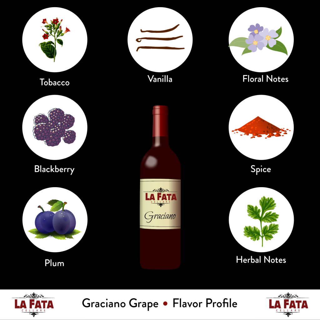 Graciano wine flavor profile infographic image.