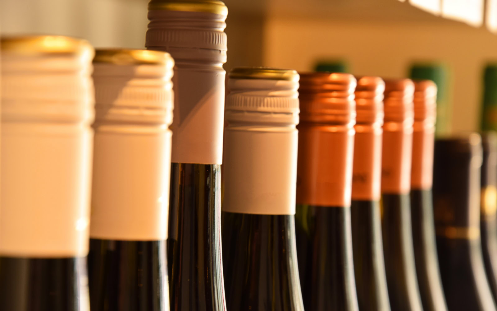 How to Start a Wine Collection: Easy Tips for Beginners