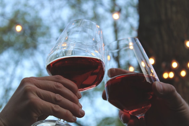 top red wine to try