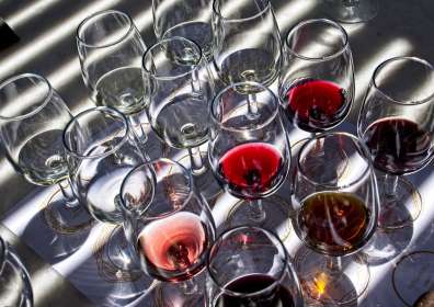 Proper Wine Tasting Order and Most Common Tasting Varietals